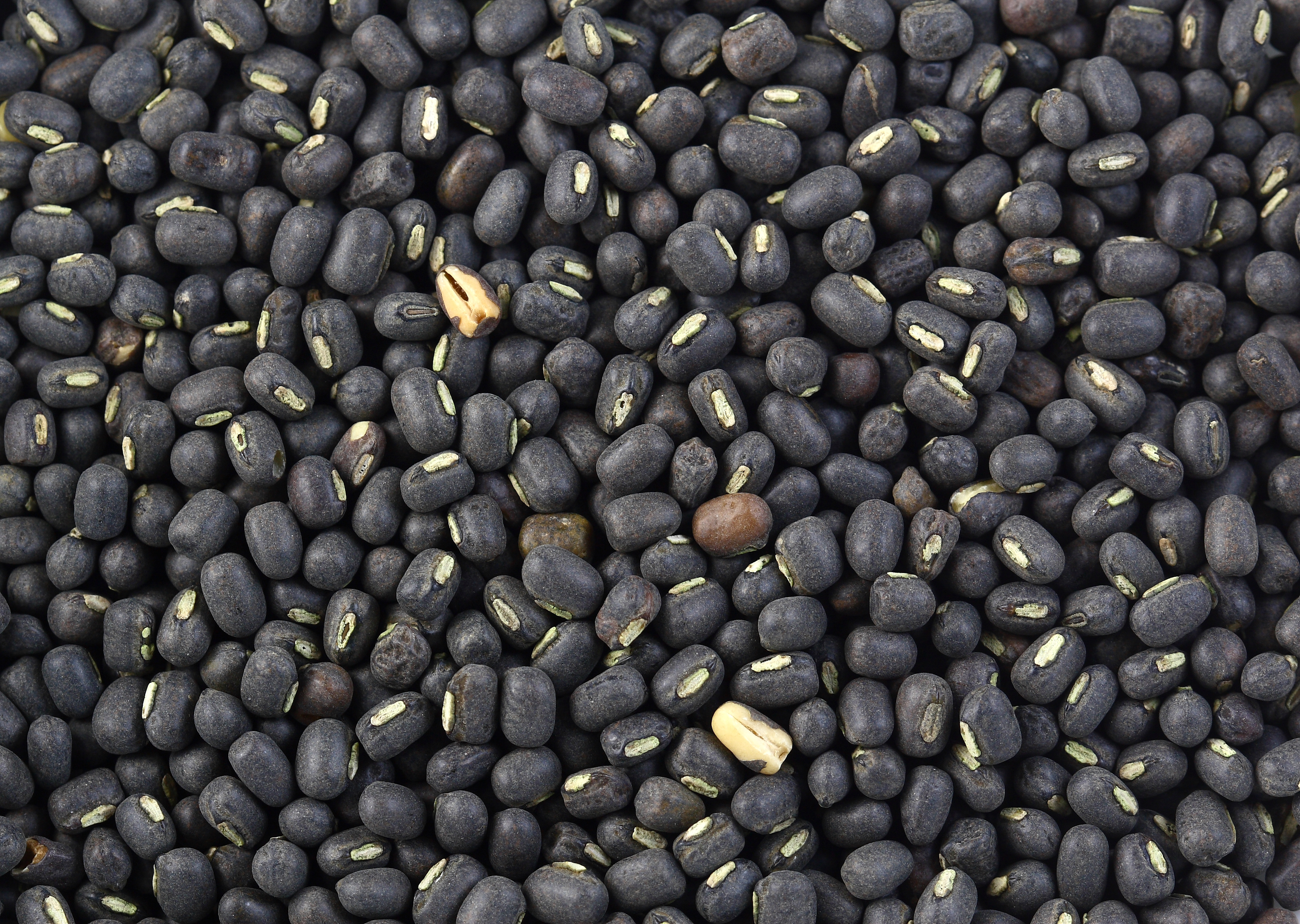 Black Gram (Urad Dal)